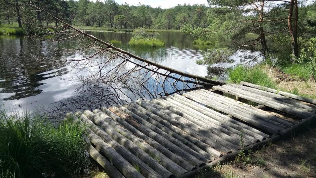 Ostoja Sosnowa Czarny Mlyn, kompleks dwóch nowych domkow Zewnętrze zdjęcie